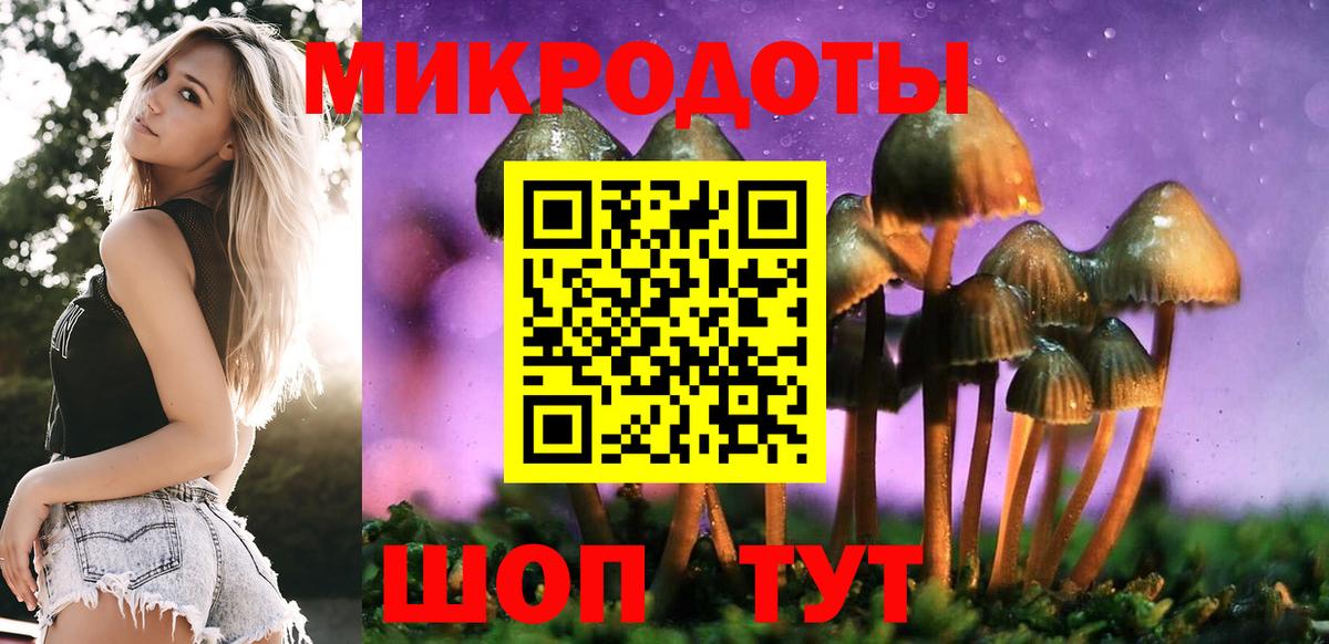 Галлюциногенные грибы мухоморы Саратов